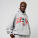 Karl Kani OG Eagle Print Oversized Hoodie grau 30742 1