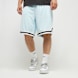Pegador Lansing Baskteball Shorts bleu 31938 1