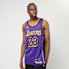 Jordan LeBron James Los Angeles Lakers Statement Edition Dri-FIT NBA Swingman Jersey roze 32656 1