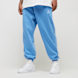 Jordan Brooklyn Fleece Pants niebieski 40280 1