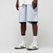Lacoste Shorts bleu 45051 1