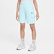 Nike Sportswear Fleece Cargoshorts bleu 46625 1