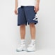 Jordan Essentials Fleece Shorts blau 46880 1