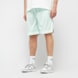 Karl Kani Signature Pinstripe Mesh Shorts vert 46999 1