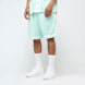Karl Kani Small Varsity Logo Pinstripe Mesh Shorts blauw 47363 1