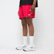 Nike 5" Volley Short czerwony 91632 1