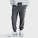 Nike   Club Joggers siva 92144 1