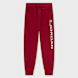 Jordan Essential Fleece Baseline Pants crvena 94078 1
