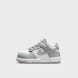 Nike   Dunk Low Peuters grijs 48488 1