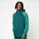 groen 94882 1