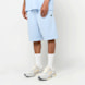 Lacoste Shorts blauw 95270 1
