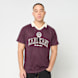 Karl Kani Heritage Emblem Shadow Pinstripe Soccer Jersey roze 96068 1