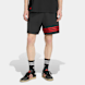 adidas Originals Neuclassics Shorts crna 96895 1