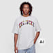 Colucci LOGO T-SHIRT COLLEGE WHITE , AOP MULTI noir 105220 1