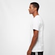 Mister Tee LA Sketch bianco 1953 2
