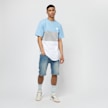 Mitchell & Ness NBA Chicago Bulls Team Arch blanc 733 4