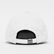 Carhartt WIP Canvas Script Cap weiß 806 2