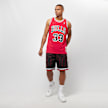 Mitchell & Ness NBA Swingman Chicago Bulls Scottie Pippen rojo 962 5