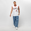 Mitchell & Ness NBA Swingman Jersey Philadelphia 76ers 2000-01 Allen Iverson blanco 968 4