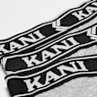 Karl Kani KK 3-Pack Boxer Retro Tape Essential ash grey grau 40754 2