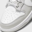 Nike Dunk Low Retro grijs 2497 7
