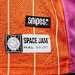SNIPES Space Jam: A New Legacy Logo Character Pinstripe Mesh Tee multicolor 2886 5
