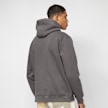 Karl Kani Small Signature Hoodie cinzento 6274 2