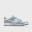 Nike Dunk Low (GS) grijs 7508 2