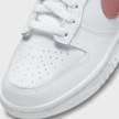 Nike Dunk Low (GS) wit 7511 7