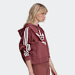 adidas Originals adicolor Bold Hoodie lichtroze 7732 2