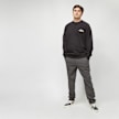 Dickies Fort Lewis Sweatshirt noir 3388 6