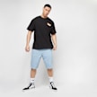 Dickies Garyville Denim Short bleu 3514 6