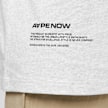 Aape Short Sleeve Tee grau 3776 5