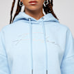 FUBU Signature Rhinestone Hoodie blauw 9244 3