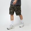 Reell New Cargo Short wielokolorowy 9581 1