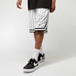 Karl Kani Small Signature Pinstripe Mesh Shorts biały 9778 1
