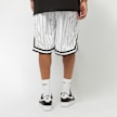 Karl Kani Small Signature Pinstripe Mesh Shorts blanc 9778 2
