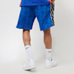 Mitchell & Ness NBA Orlando Magic Swingman Short blau 10874 2
