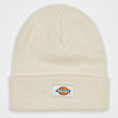 Dickies Gibsland Beanie beige 11203 1
