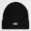 Dickies Gibsland Beanie noir 11204 1