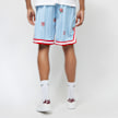 Karl Kani KK Woven Signature Pinstripe Mesh Shorts light blue blau 12973 2