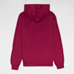 Champion Hooded Sweatshirt rouge 15952 2