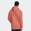 adidas Originals Ozworld Hoodie castanho 15963 2