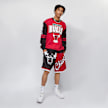 Mitchell & Ness Nba All Over Crew 2.0  Chicago Bulls rot 15995 7