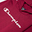 Champion Hooded Sweatshirt rot 16000 3