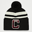 Champion Rochester Beanie Cap multicolor 16276 1
