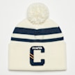 Champion Rochester Beanie Cap multicolor 16279 1