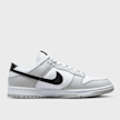 Nike Dunk Low Retro SE siva 16739 2