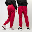 Jordan Essential Fleece Pants czerwony 16869 2