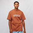 Dickies Union Springs Tee Ss marrón 17306 1